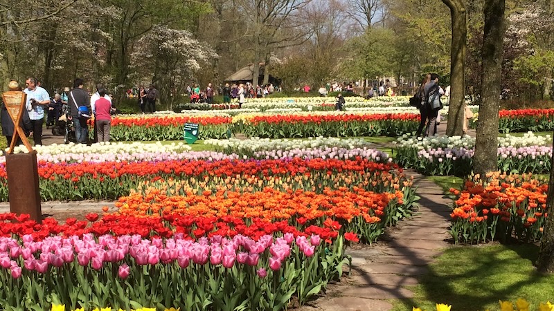Holland med blomstertåget, 14 apr