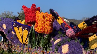 Holland med Blomstertåget, 15 april