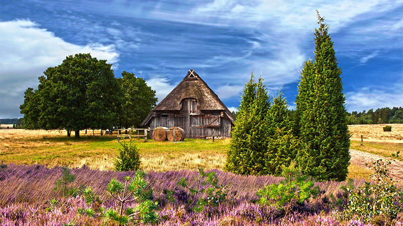 Lüneburgsheden med Celle och sparris, 5 maj